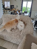 Kat78640 - Saint-Germain-de-la-Grange